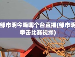 邹市明今晚哪个台直播(邹市明拳击比赛视频)