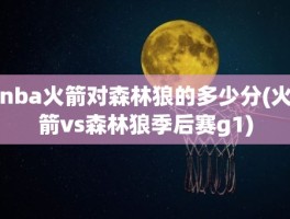 nba火箭对森林狼的多少分(火箭vs森林狼季后赛g1)