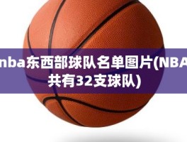 nba东西部球队名单图片(NBA共有32支球队)