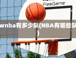 wnba有多少队(NBA有哪些队)