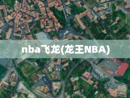 nba飞龙(龙王NBA)