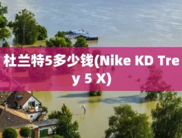 杜兰特5多少钱(Nike KD Trey 5 X)