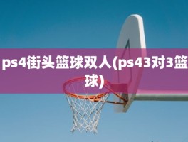 ps4街头篮球双人(ps43对3篮球)