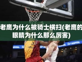 老鹰为什么被骑士横扫(老鹰的眼睛为什么那么厉害)