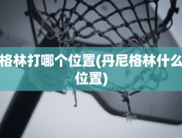 格林打哪个位置(丹尼格林什么位置)