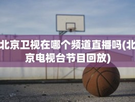 北京卫视在哪个频道直播吗(北京电视台节目回放)