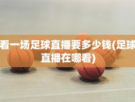 看一场足球直播要多少钱(足球直播在哪看)