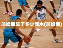 詹姆斯拿了多少薪水(詹姆斯)