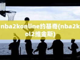 nba2konline约基奇(nba2kol2维金斯)