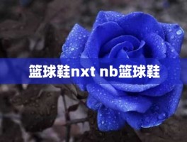 篮球鞋nxt nb篮球鞋