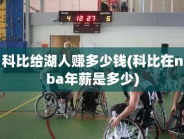 科比给湖人赚多少钱(科比在nba年薪是多少)