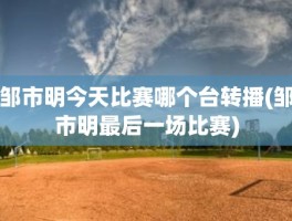 邹市明今天比赛哪个台转播(邹市明最后一场比赛)