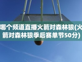 哪个频道直播火箭对森林狼(火箭对森林狼季后赛单节50分)