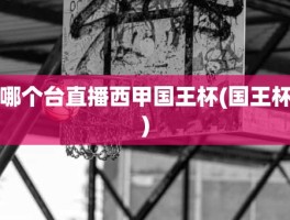 哪个台直播西甲国王杯(国王杯)