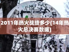 2011年热火战绩多少(14年热火总决赛数据)