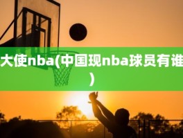 大使nba(中国现nba球员有谁)