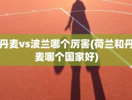 丹麦vs波兰哪个厉害(荷兰和丹麦哪个国家好)