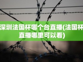深圳法国杯哪个台直播(法国杯直播哪里可以看)