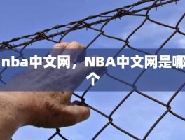 nba中文网，NBA中文网是哪个