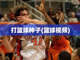 打篮球种子(篮球视频)