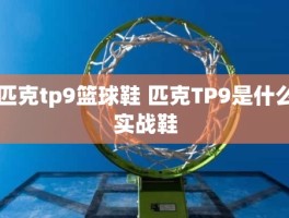 匹克tp9篮球鞋 匹克TP9是什么实战鞋