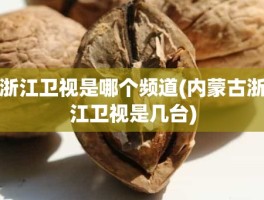 浙江卫视是哪个频道(内蒙古浙江卫视是几台)