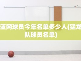 篮网球员今年名单多少人(猛龙队球员名单)