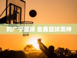 刘广宁篮球 金鑫篮球奥神