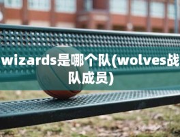 wizards是哪个队(wolves战队成员)