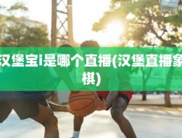 汉堡宝i是哪个直播(汉堡直播象棋)