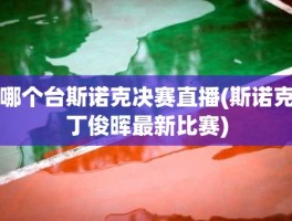 哪个台斯诺克决赛直播(斯诺克丁俊晖最新比赛)