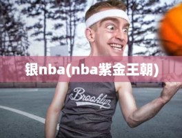 银nba(nba紫金王朝)