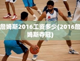 詹姆斯2016工资多少(2016詹姆斯夺冠)