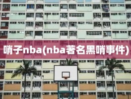 哨子nba(nba著名黑哨事件)