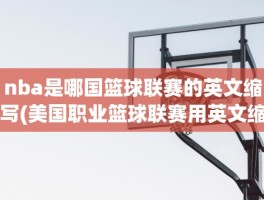 nba是哪国篮球联赛的英文缩写(美国职业篮球联赛用英文缩写)