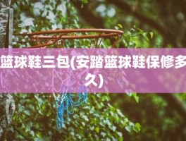 篮球鞋三包(安踏篮球鞋保修多久)