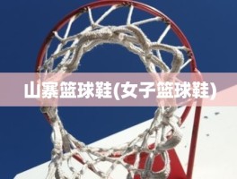 山寨篮球鞋(女子篮球鞋)
