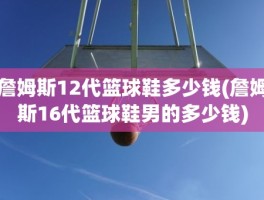 詹姆斯12代篮球鞋多少钱(詹姆斯16代篮球鞋男的多少钱)