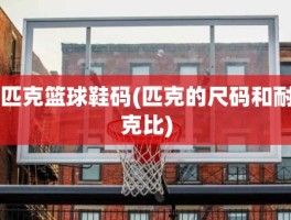 匹克篮球鞋码(匹克的尺码和耐克比)