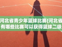 河北省青少年篮球比赛(河北省有哪些比赛可以获得篮球二级证)