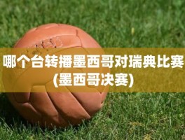 哪个台转播墨西哥对瑞典比赛(墨西哥决赛)