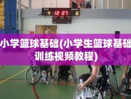 小学篮球基础(小学生篮球基础训练视频教程)