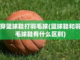 穿篮球鞋打羽毛球(篮球鞋和羽毛球鞋有什么区别)