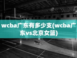 wcba广东有多少支(wcba广东vs北京女篮)