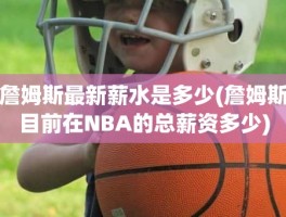 詹姆斯最新薪水是多少(詹姆斯目前在NBA的总薪资多少)