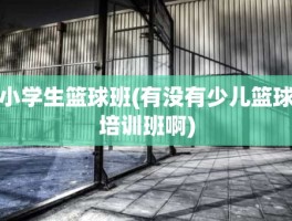 小学生篮球班(有没有少儿篮球培训班啊)