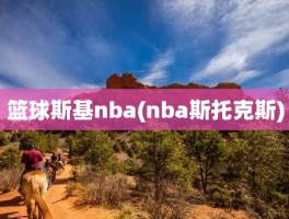 篮球斯基nba(nba斯托克斯)