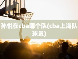 孙悦在cba哪个队(cba上海队球员)