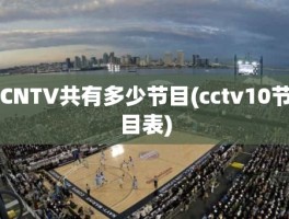 CNTV共有多少节目(cctv10节目表)