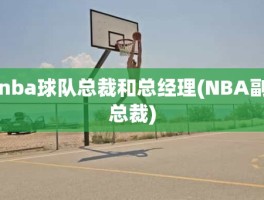 nba球队总裁和总经理(NBA副总裁)